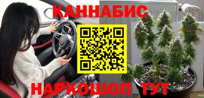 СК Сланцы