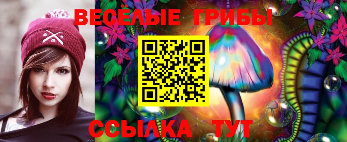 Псилоцибиновые грибы Psilocybe  Вход с VPN  Новочеркасск 